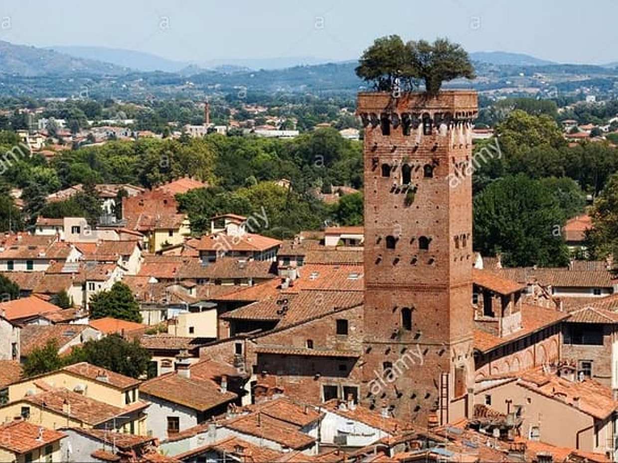 PRIVATE TOUR: Pisa & Lucca with Lunch and wine tastings in the Farm, photo 5