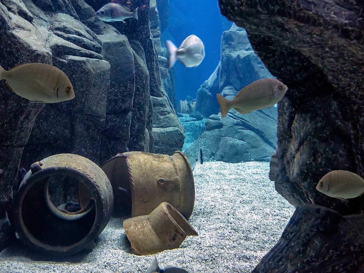 Heraklion Sightseeing Tour with Cretaquarium