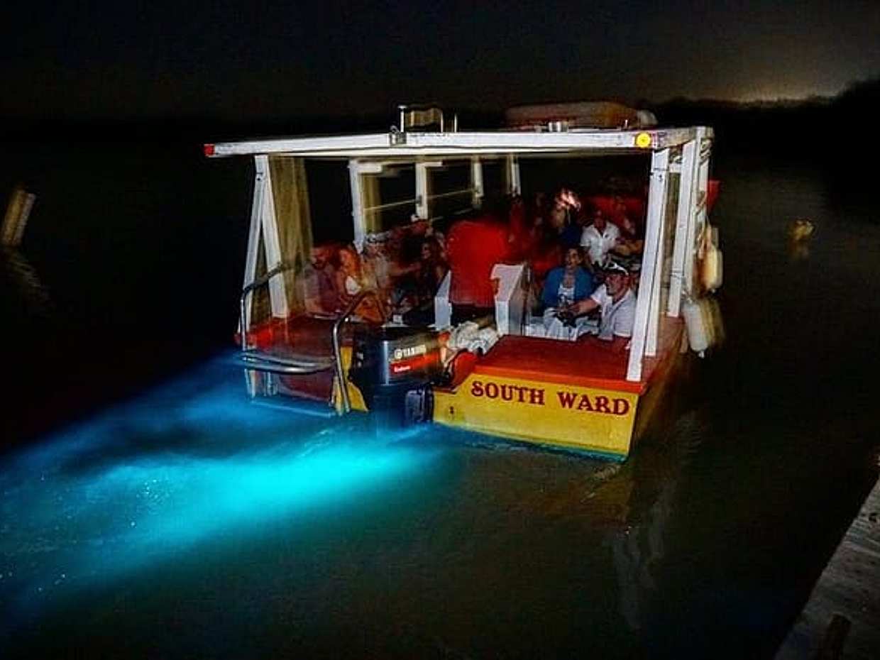 Night Tour of Rose Hall Haunted Mansion plus Luminous Lagoon, photo 5