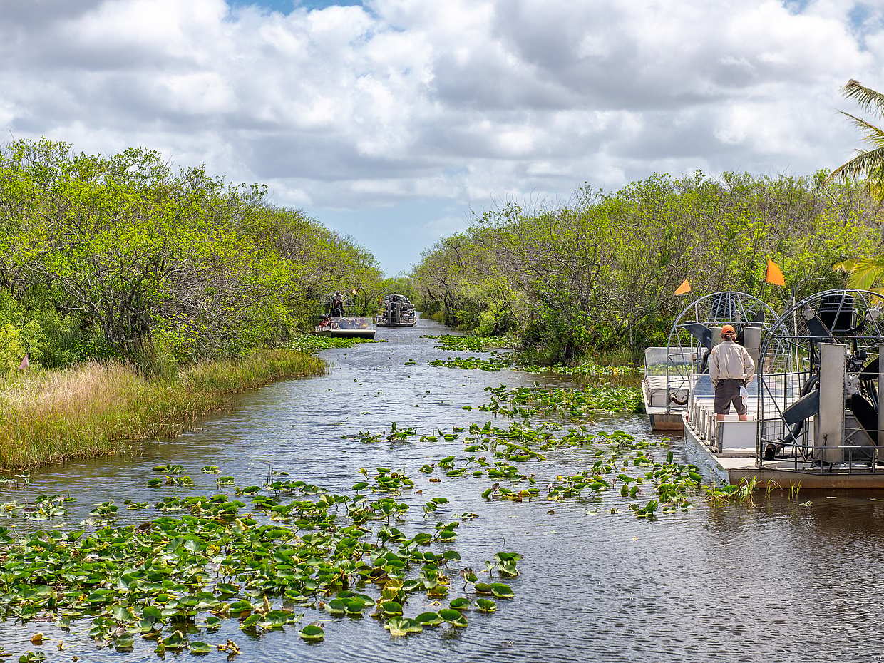 Everglades Holiday Park Tour in United States, photo 5