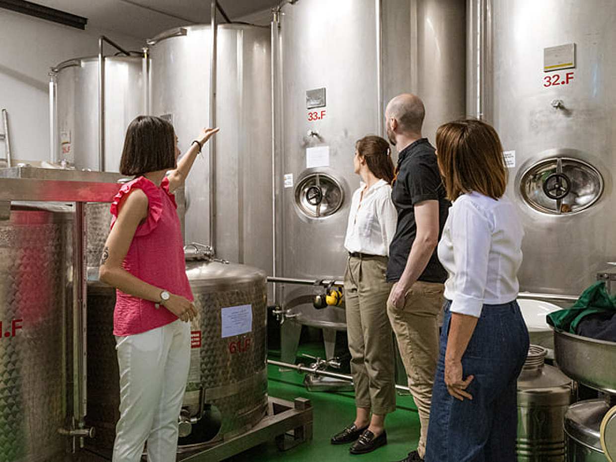 Lake Garda Olive Oil Tour and Tasting Experience, photo 3