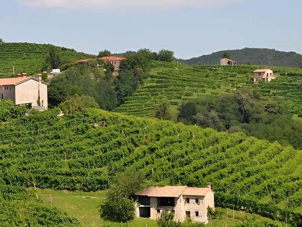 Exclusiva Experiência de Vinho Barolo de 3 Dias Partindo de Florença na Itália, photo 3