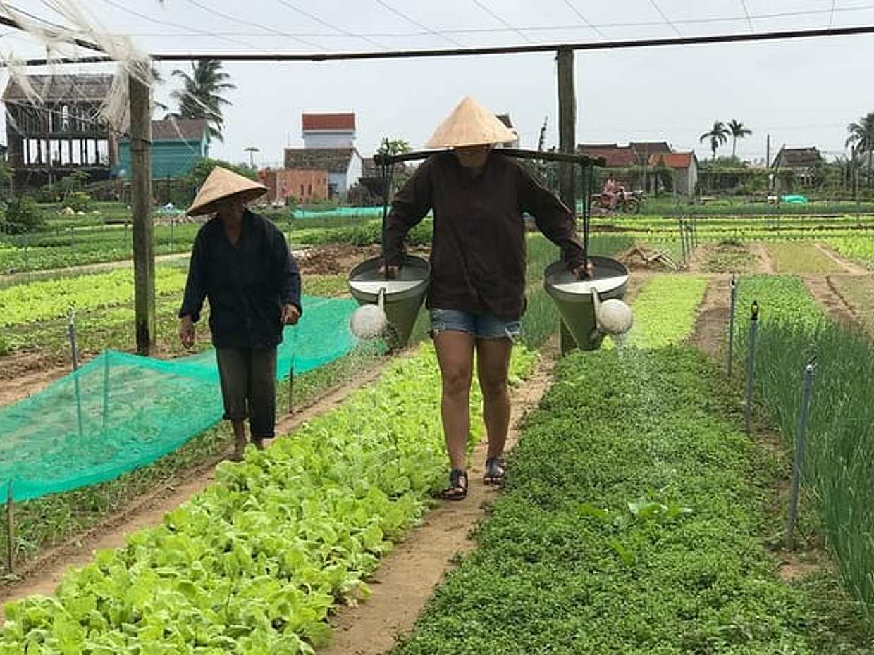 Half-Day Hoi An Countryside and Villages Tour by Bike in Vietnam, photo 5