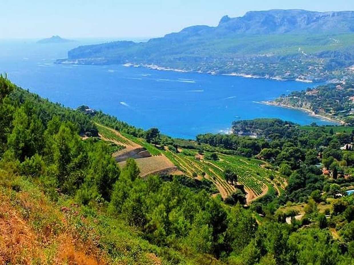 Calanques of Cassis, Aix-en-Provence & Wine Tasting Private Tour, photo 4