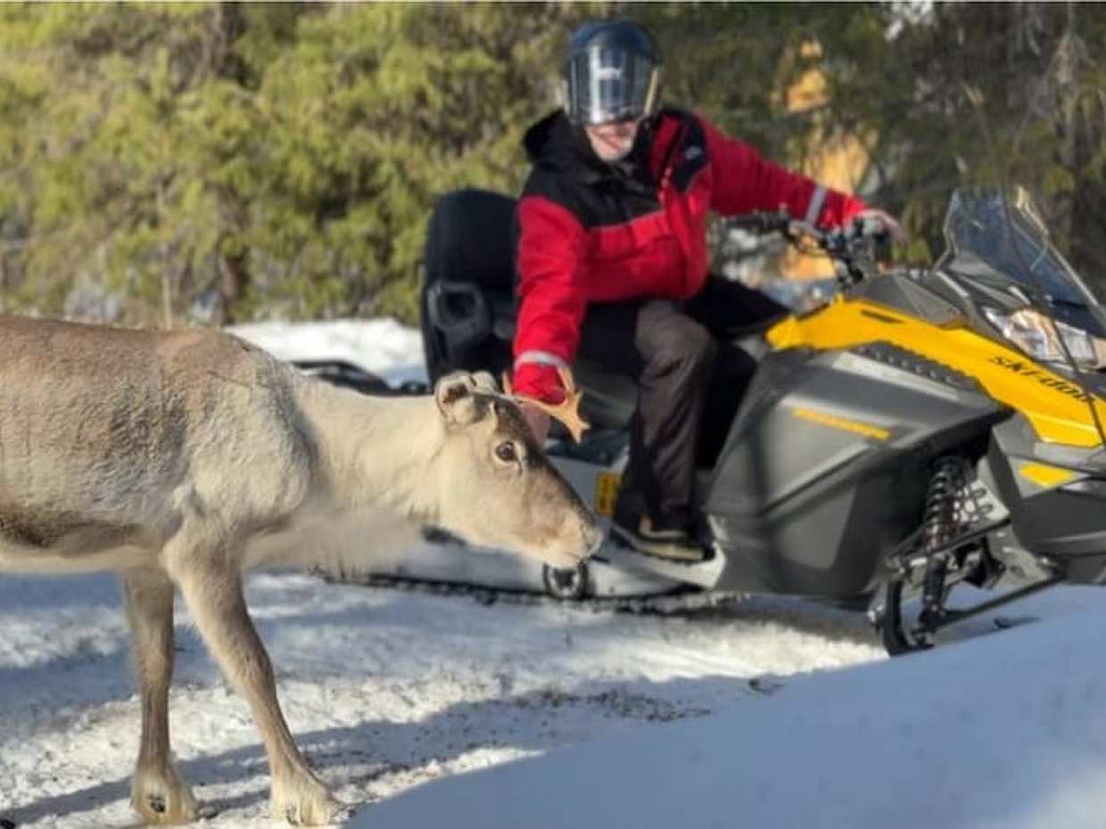 Snowmobile Safari to Reindeer Farm, Levi — authentic local experience, photo 5