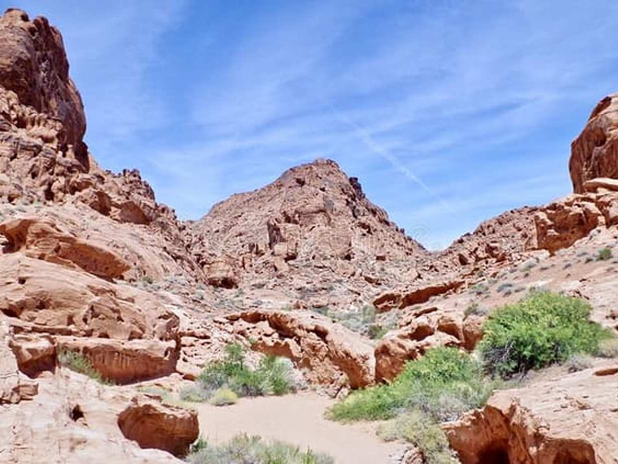 Safari Day Tour To Wadi El Gamal National Park From Marsa Alam, photo 5