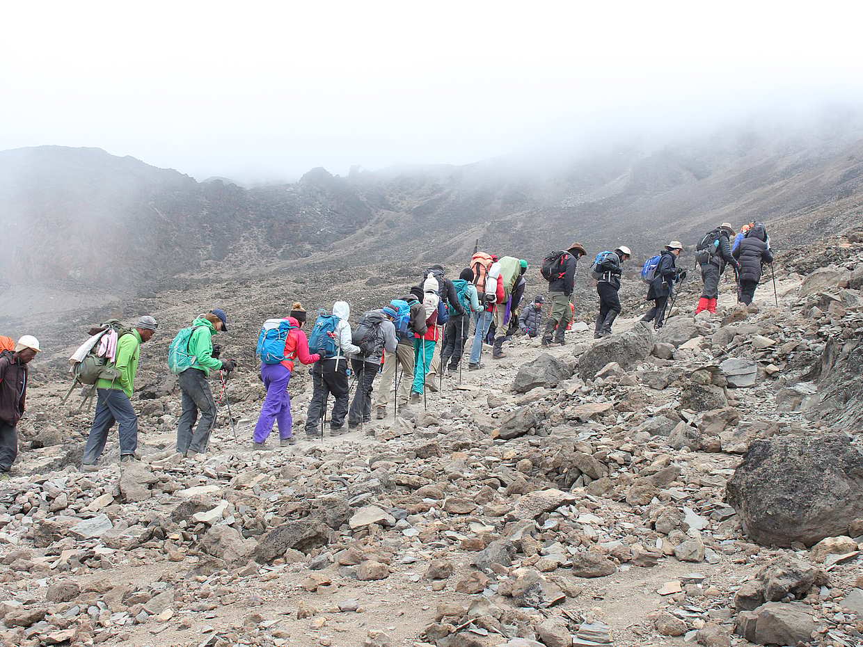 Kilimanjaro Luxury 7-day Hike, Tanzania, photo 4