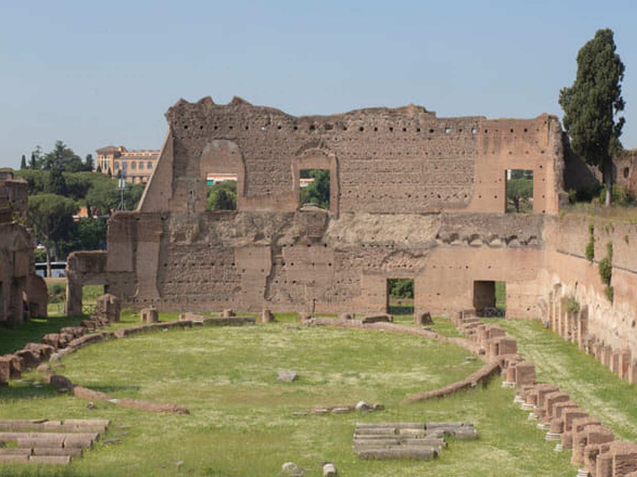 Colosseum, Roman Forum and Palatine Hill Private tour, photo 2