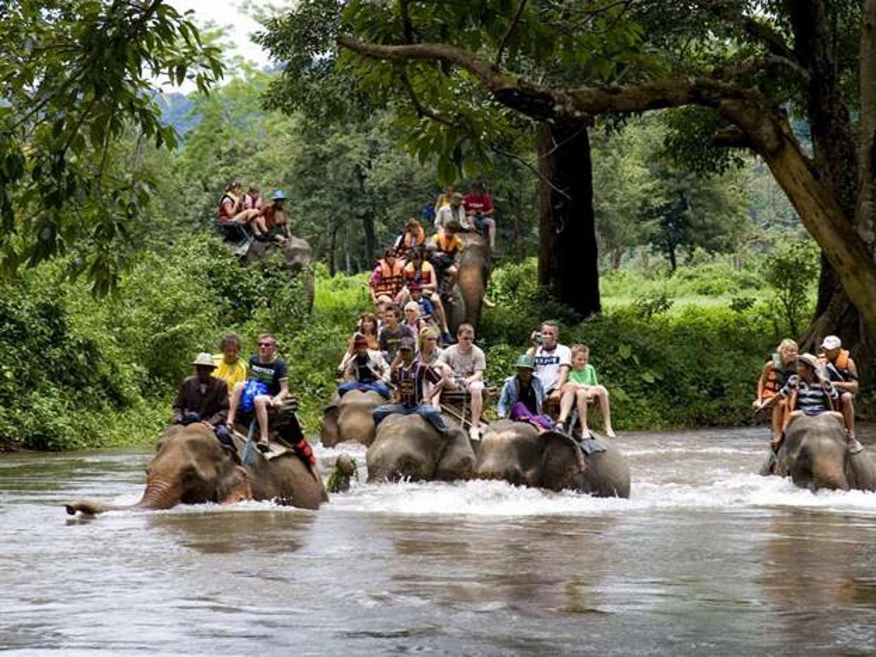 Bangkok - Kanchanaburi: Río Kwai con paseo en elefante y rafting en bambú en Tailandia, photo 4