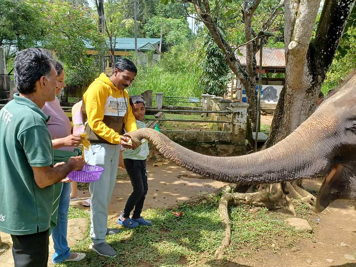 Full-day Enchanting Private Excursion from Colombo to Kandy by Van in Sri Lanka, photo 5
