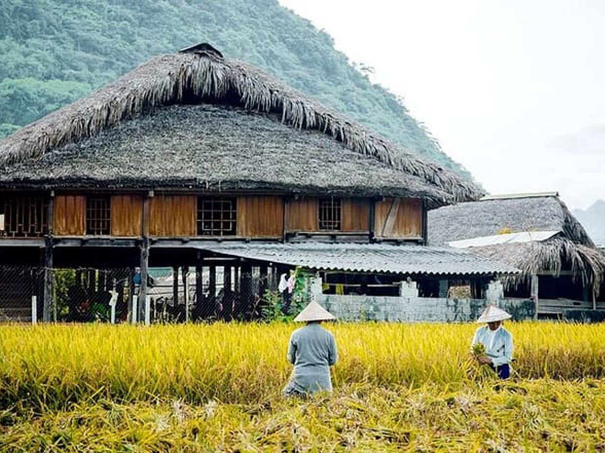 2-Days Sapa Trekking From Hanoi Overnight in Tavan Village, Vietnam, photo 2