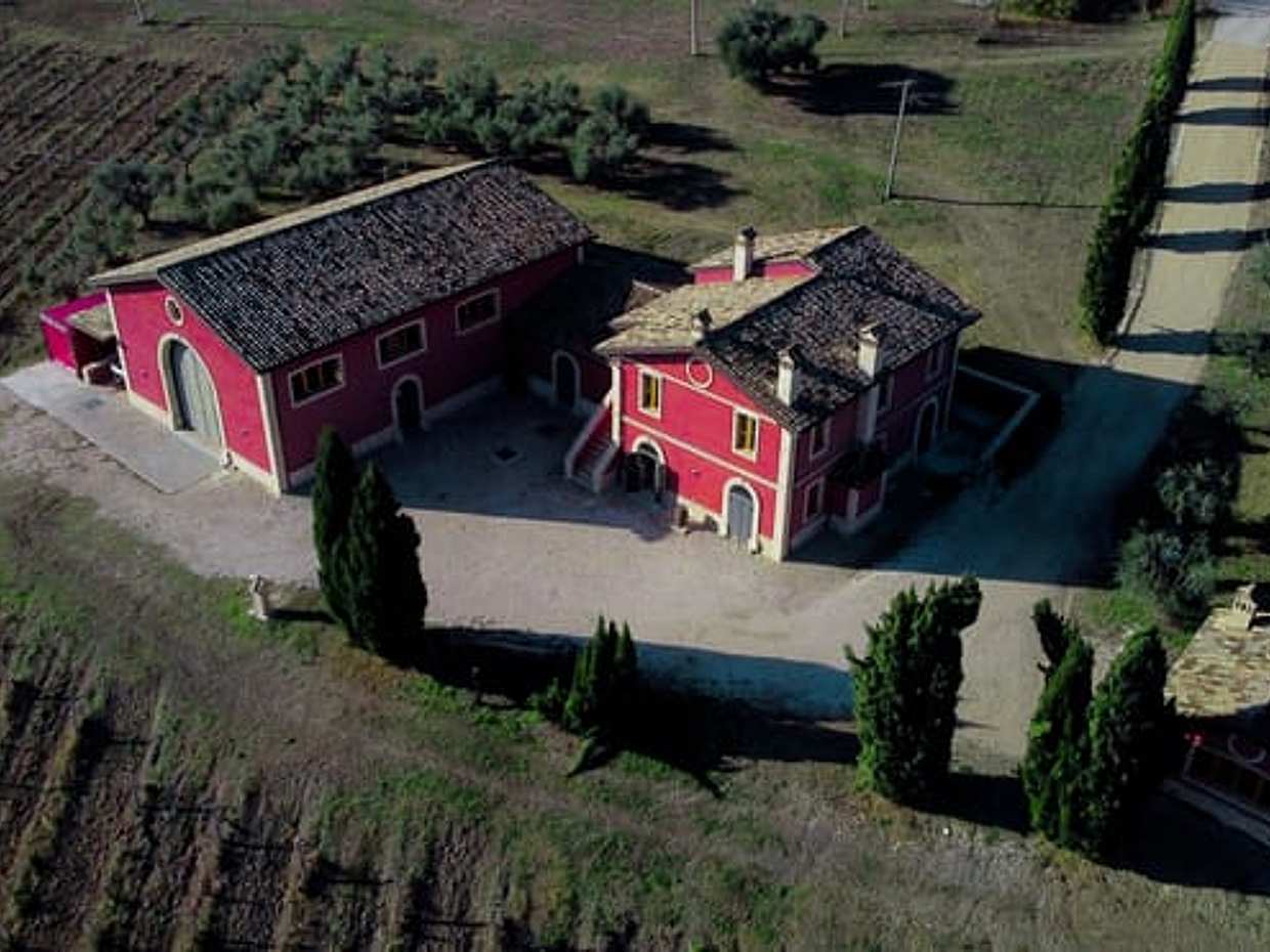 Marche: unique visit and tasting at Cantina D'Erasmo amidst signature wines, photo 3