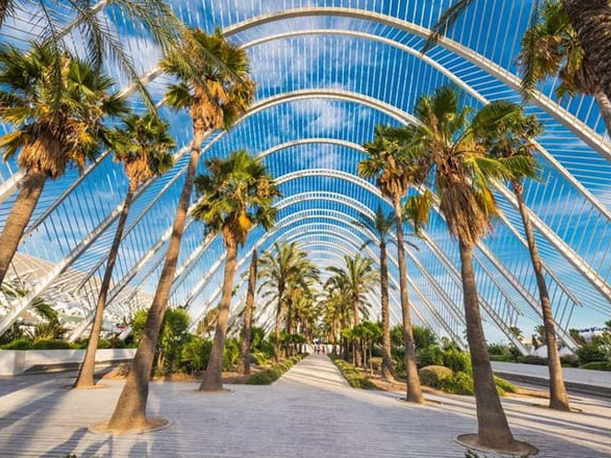 Barcelona to Valencia Private Transfer with 2h Sightseeing Stop, photo 3