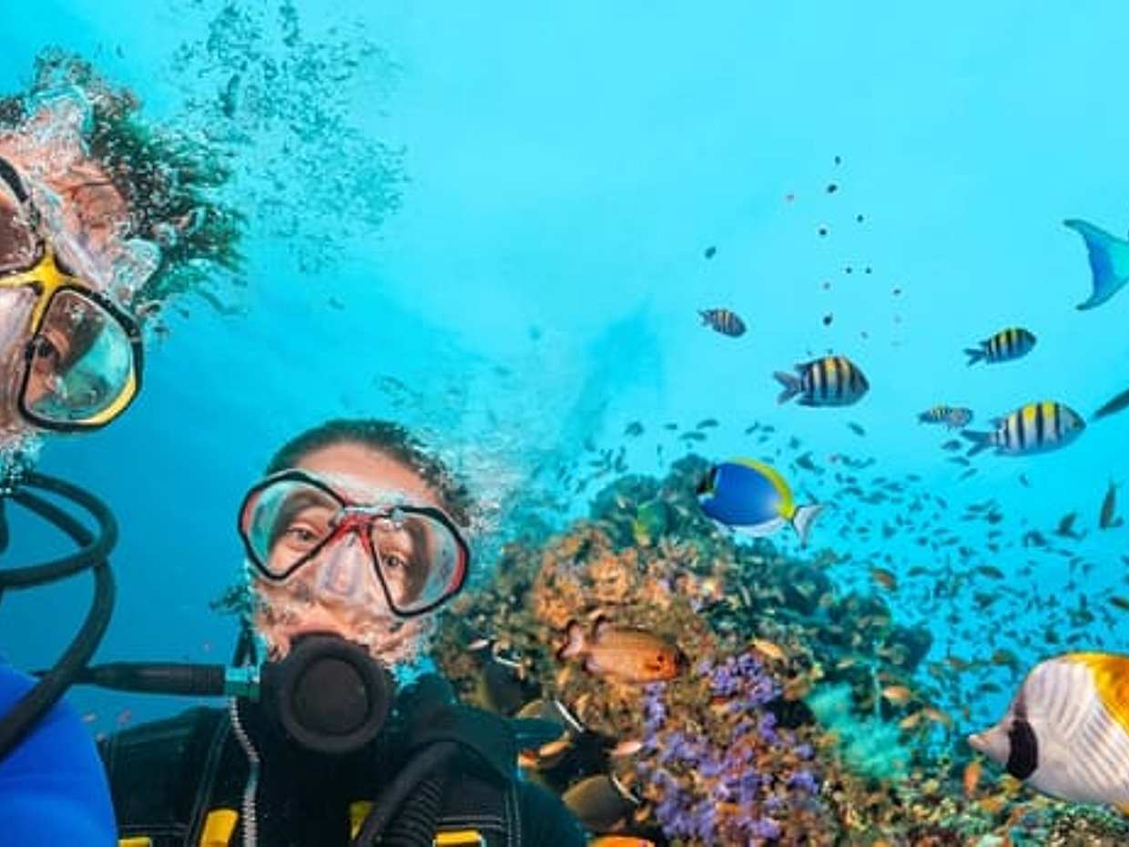 Full Day Fun Dive Open Water Within 18 Meter Depth at Tulamben Sea, photo 3