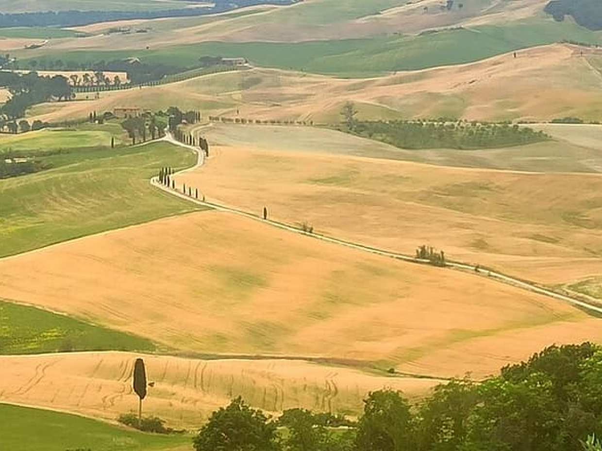 Discover Tuscany: Siena, Chianti & Brunello Tasting in Montalcino, photo 5