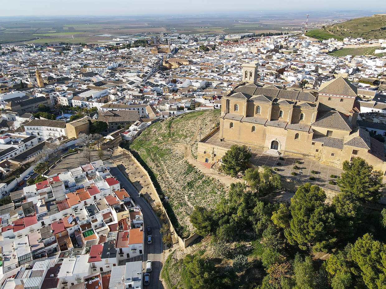 Tour di Siviglia e Osuna Game of Thrones con trasferimento privato, photo 2