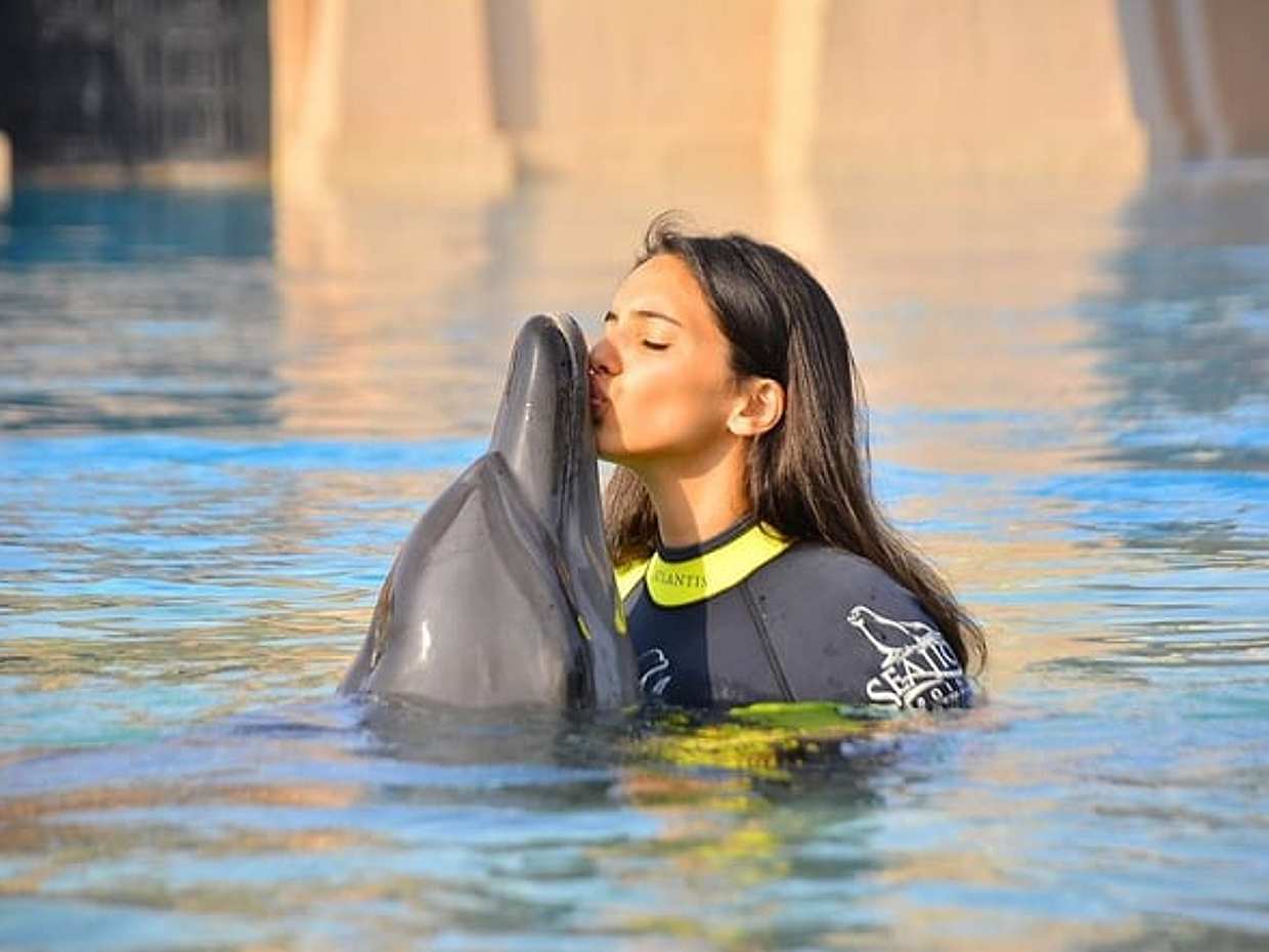 "Dolphin Bay Atlantis negli Emirati Arabi Uniti, Dubai", photo 5