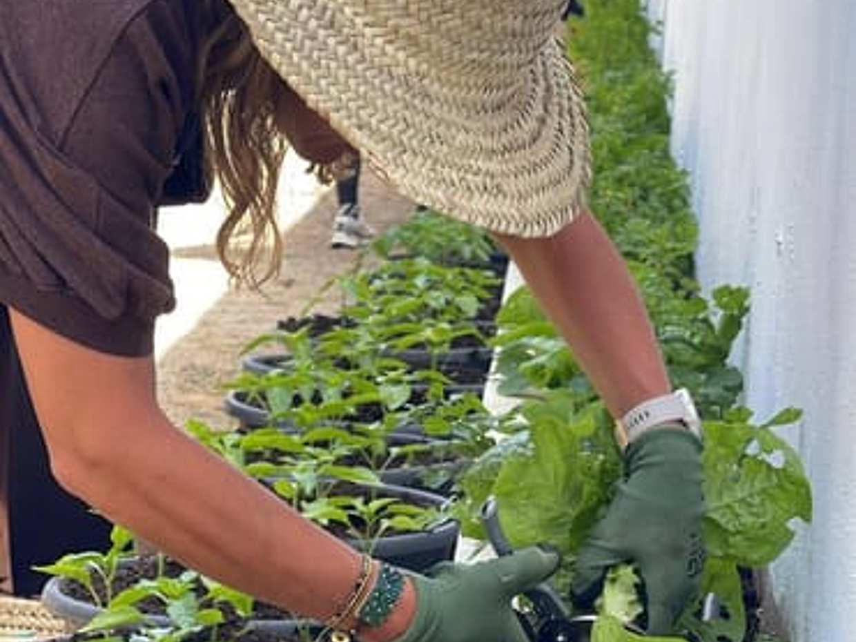 Plant It & Taste It : Garden Workshop & Traditional Moroccan Tea in Morocco, Tangier, photo 4