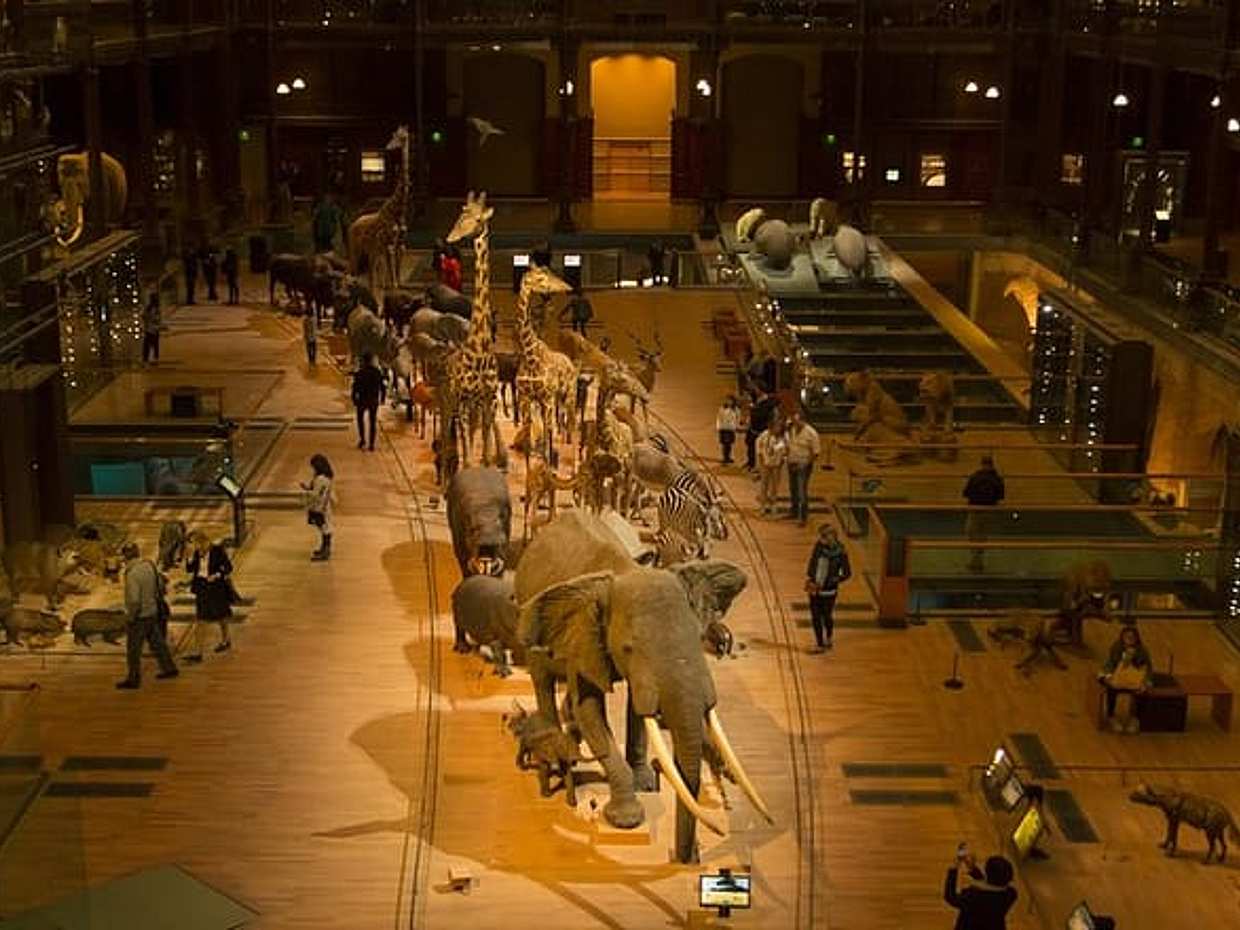 "Soukromá rodinná prohlídka Paříže – To nejlepší a nejlepší muzeum pro děti ve Francii", photo 4