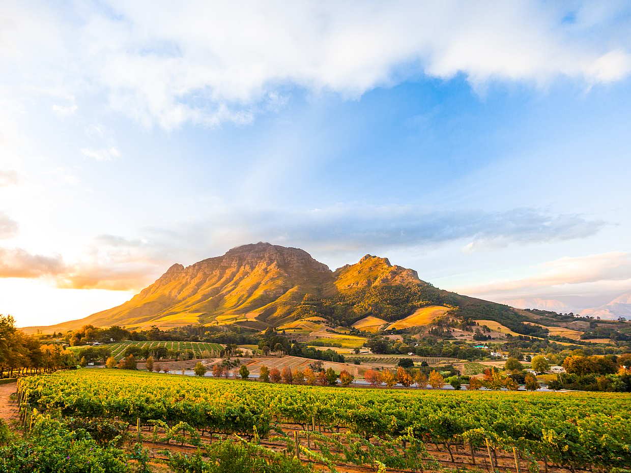 Full Day Cape Winelands Trike Tour in Cape Town, South Africa, photo 3