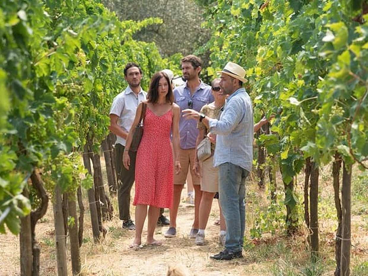Authentic Farm Tour with Pizza, Cheese, Wine & Limoncello Tasting