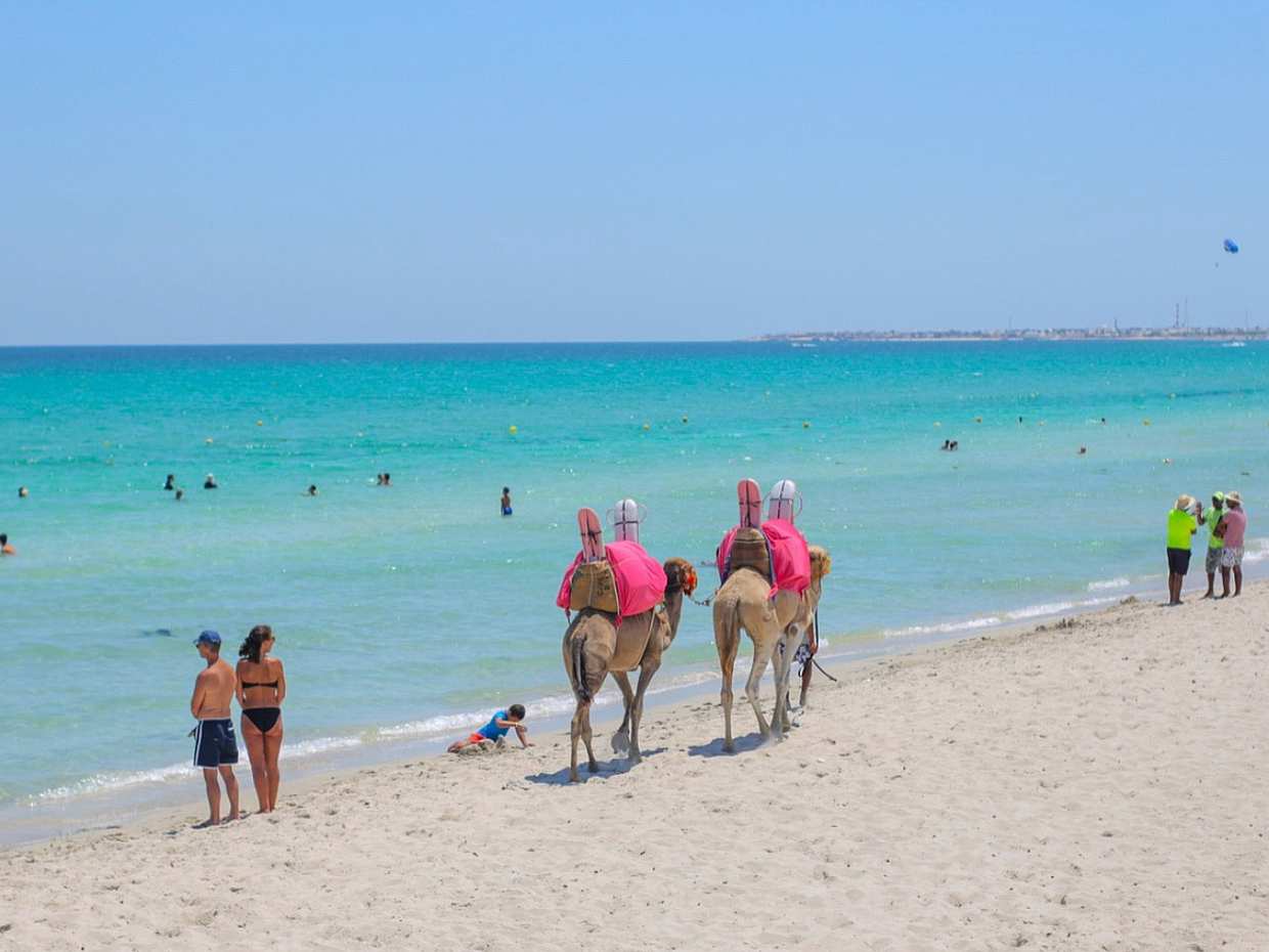 Explore Djerba at the Gentle Pace of a Camel Ride in Tunisia, Djerba Midun, photo 4