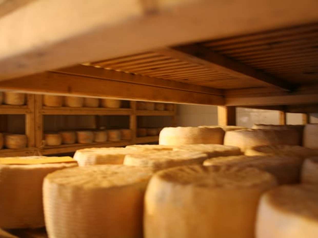 White gold from milk - visit to a typical Santa Caterina cheese dairy, photo 2