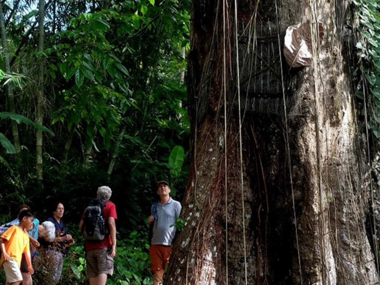 Sulawesi: Tour de 4 días por Toraja desde Makassar para descubrir el espíritu atemporal y las místicas tierras altas, Indonesia., photo 3