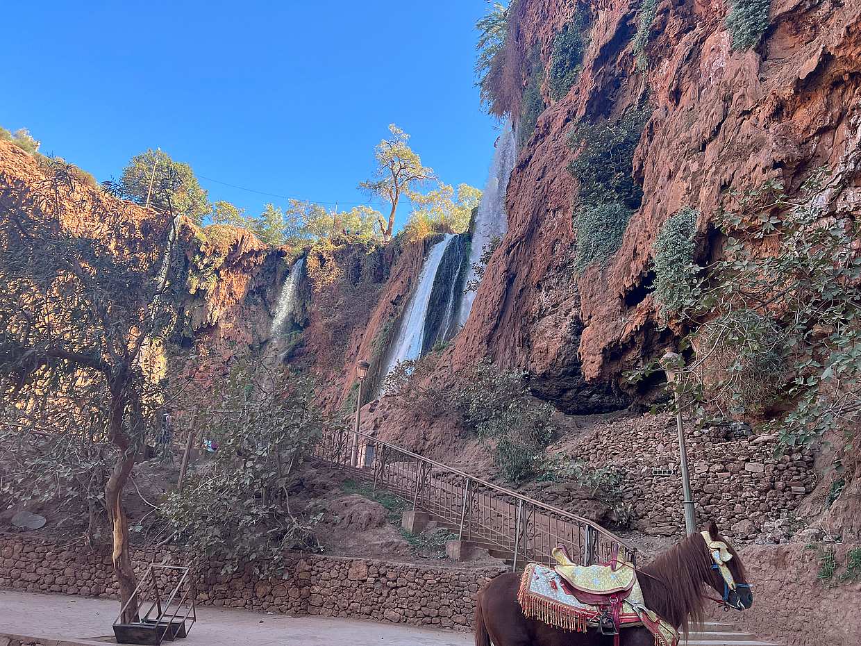 Day Trip to Ouzoud Waterfalls in Morocco, Marrakesh, photo 4