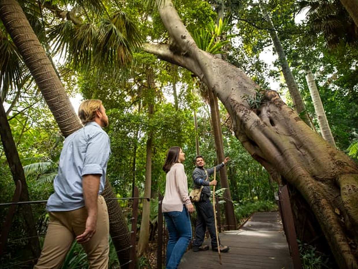 Aboriginal Heritage Walk