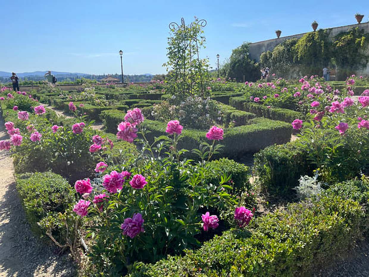 Florence: Uffizi, Pitti, Boboli and 7 Attractions 5-Day Pass, photo 3