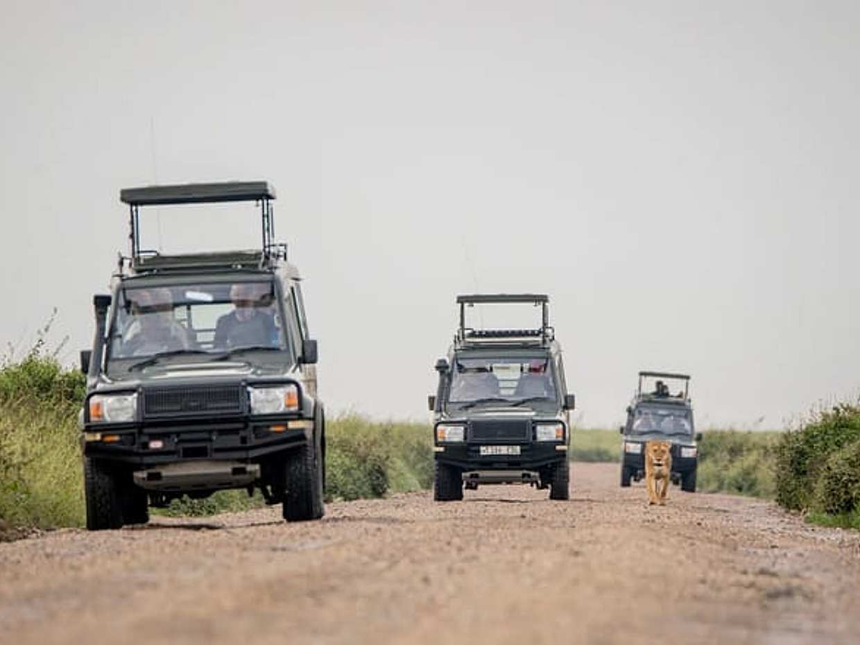 "Safari de 5 jours sur la Grande Migration : Serengeti central et saison des mises bas de Ndutu, Tanzanie"., photo 2