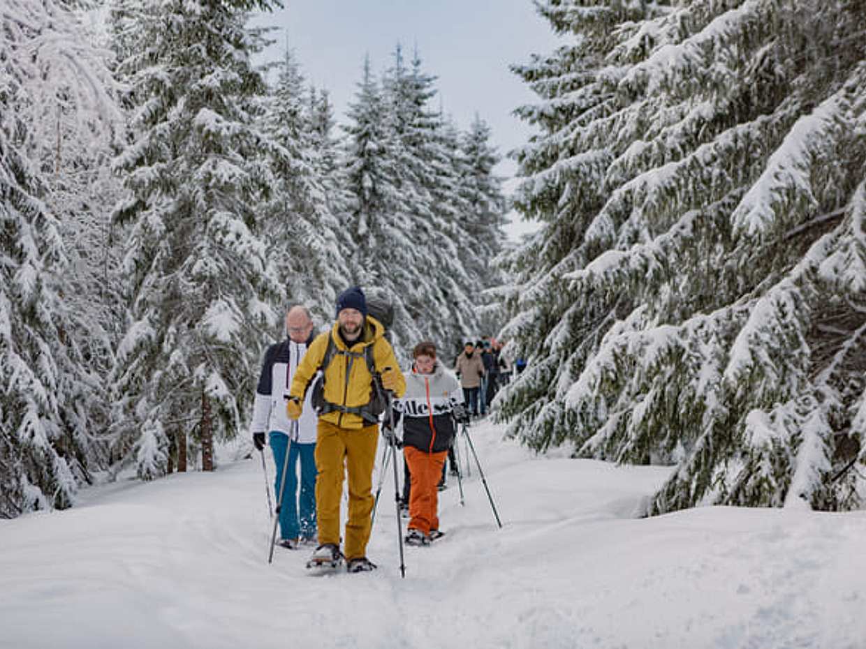 Private Snowshoe in Winter Wonderland Tour in Norway, Oslo, photo 5