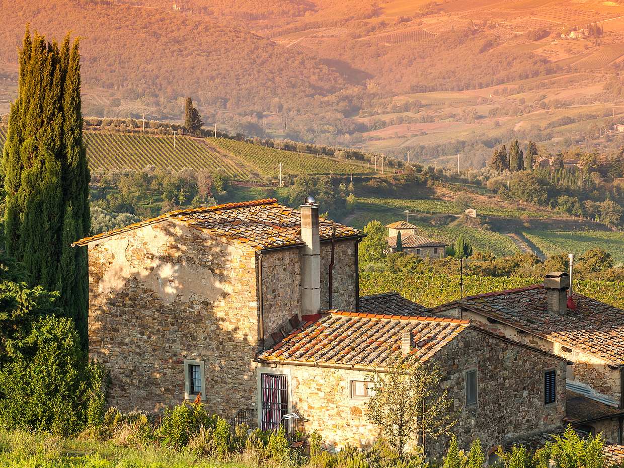 Privater Chianti Halbtagesausflug ab Florenz in Italien, Chianti Tour
, photo 4