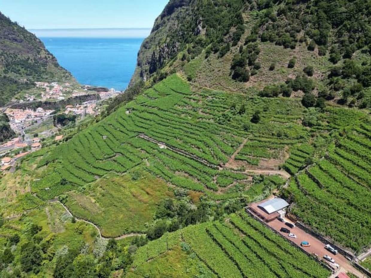 Enchanted Vineyards, Wine 4x4 Tour and Sea Cliff Cabo Girão, photo 2