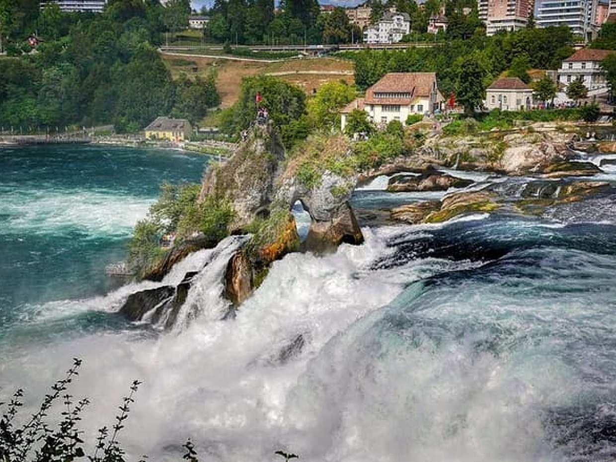 Private day trip from Basel to the Rhine Falls with local driver, photo 3