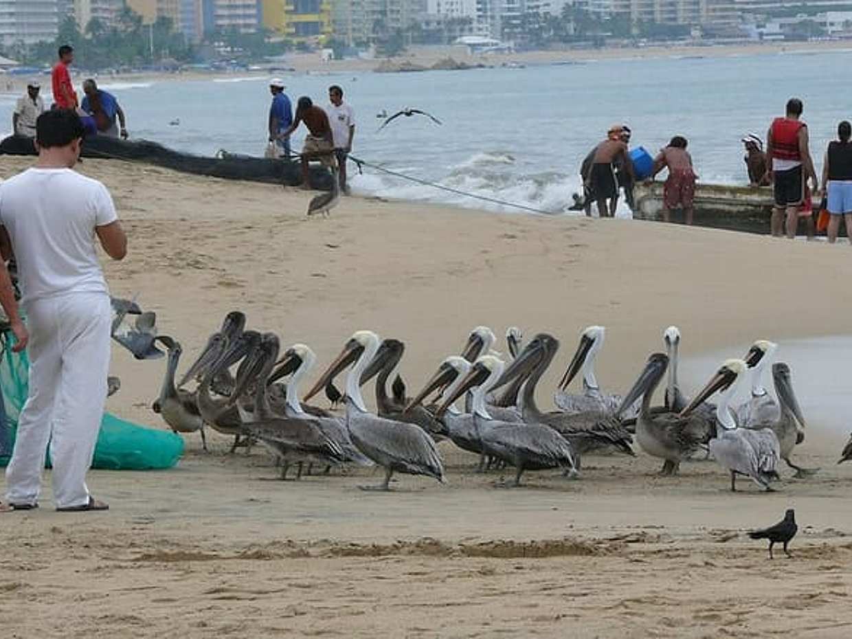 Private Direct Transfer From Mexico City to Acapulco, photo 5