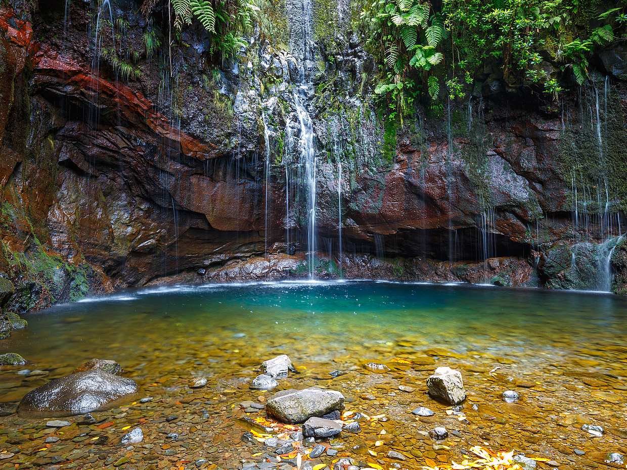 Rabaçal, Risco Waterfall and 25 Fountains Full-day Walking Tour in Portugal, Funchal, photo 4