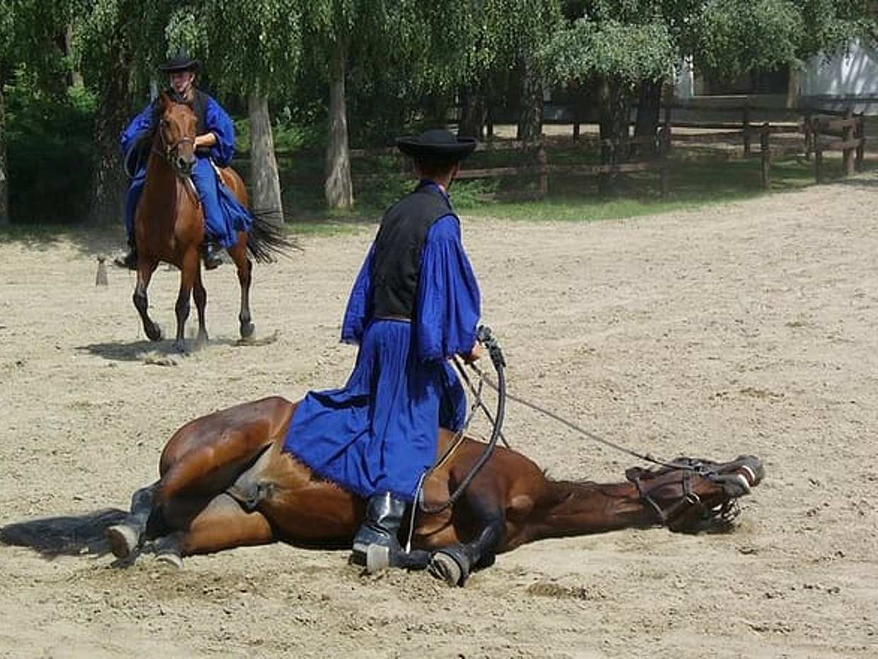Budapest Puszta Day Trip to Kecskemet with Horse Show & Lunch, photo 3