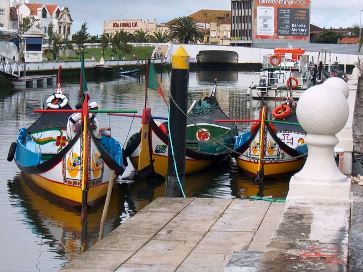 The Essential North Multiday Tour of Coimbra, Porto and the Douro Valley in Lisbon, Portugal, photo 4