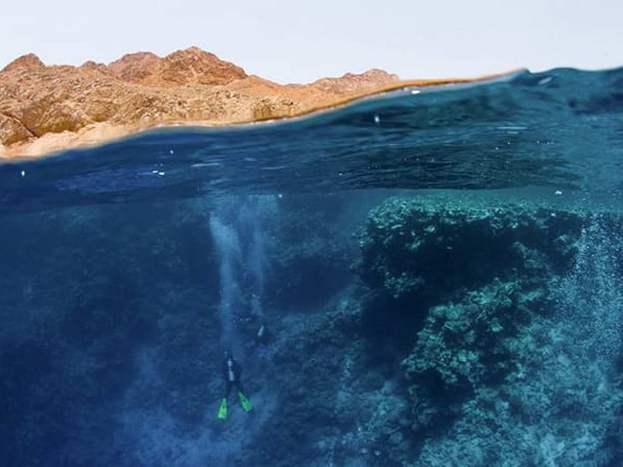 Snorkeling and Camel Ride with Lunch in Dahab from Sharm El Sheikh, photo 3