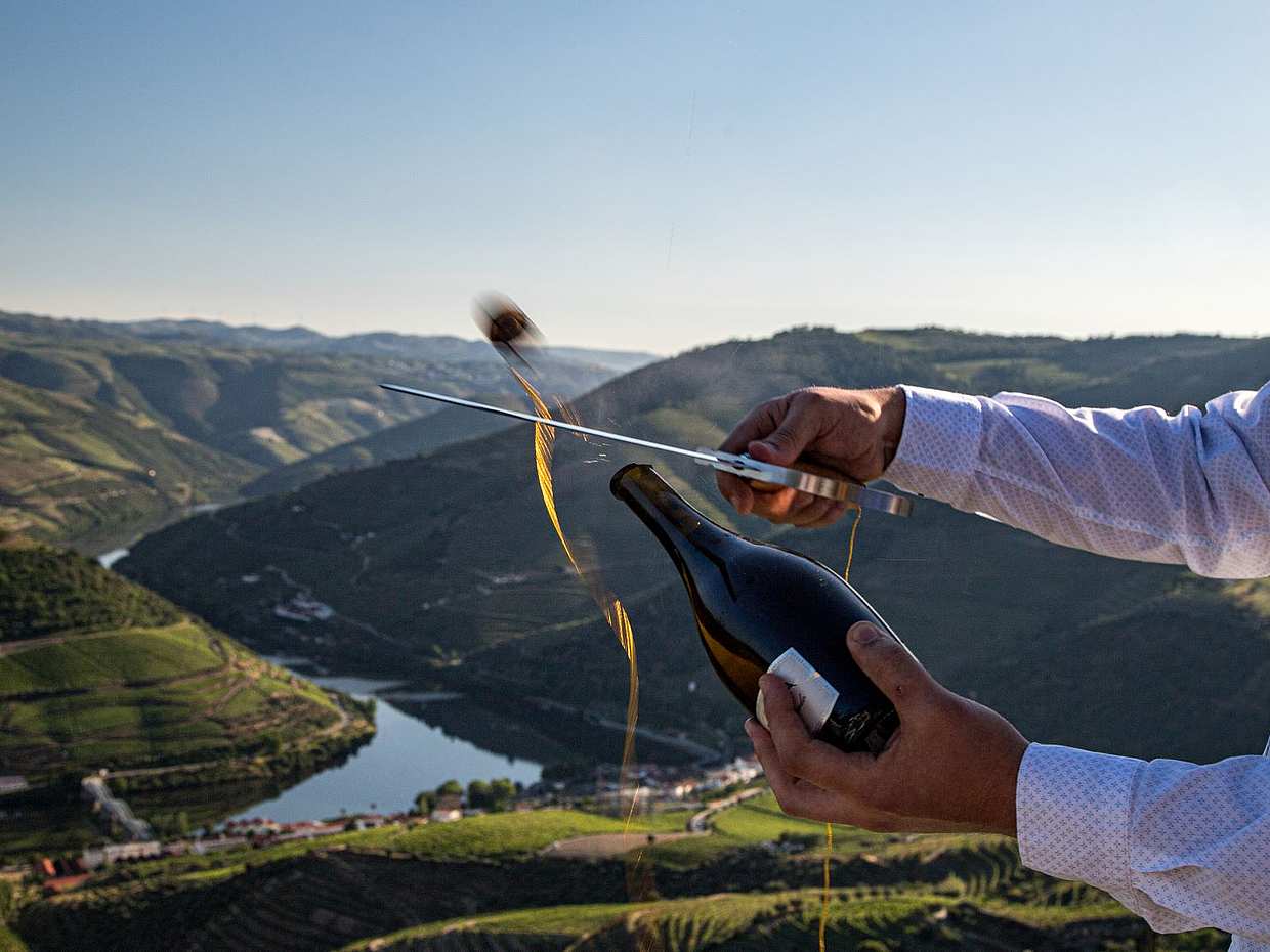 Full Day Sommelier Tour в Португалии, Дору.
, photo 2