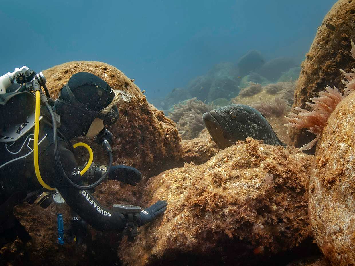 Zostań certyfikowanym nurkiem Open Water Diver na Azorach - Wyspa Pico - Twoja podwodna przygoda zaczyna się tutaj! w Portugalii.
, photo 3