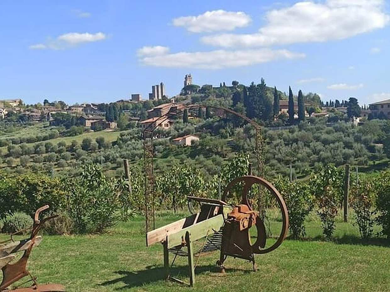 HALF-DAY: Chianti Classic Tour with Wine Experience & visit of San Gimignano