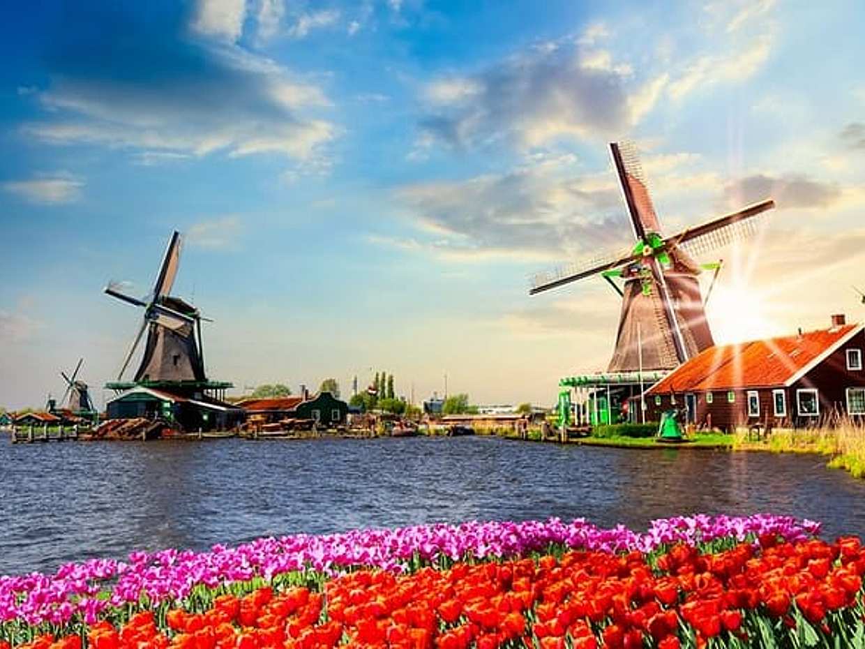 Private day trip from Amsterdam to Zaanse Schans, 3h Sightseeing in Netherlands