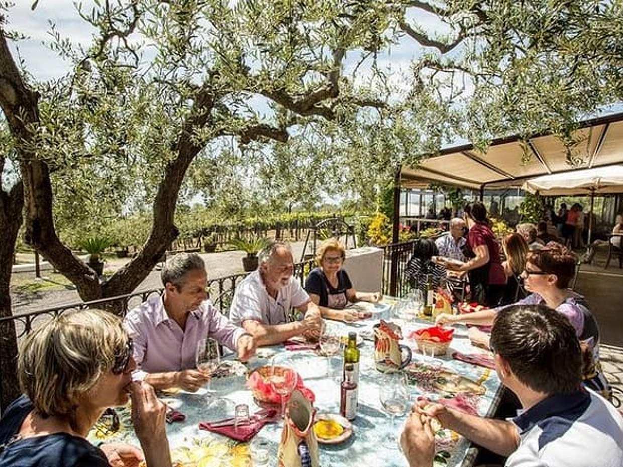 Wine & Food Tour at the Vesuvius Winery