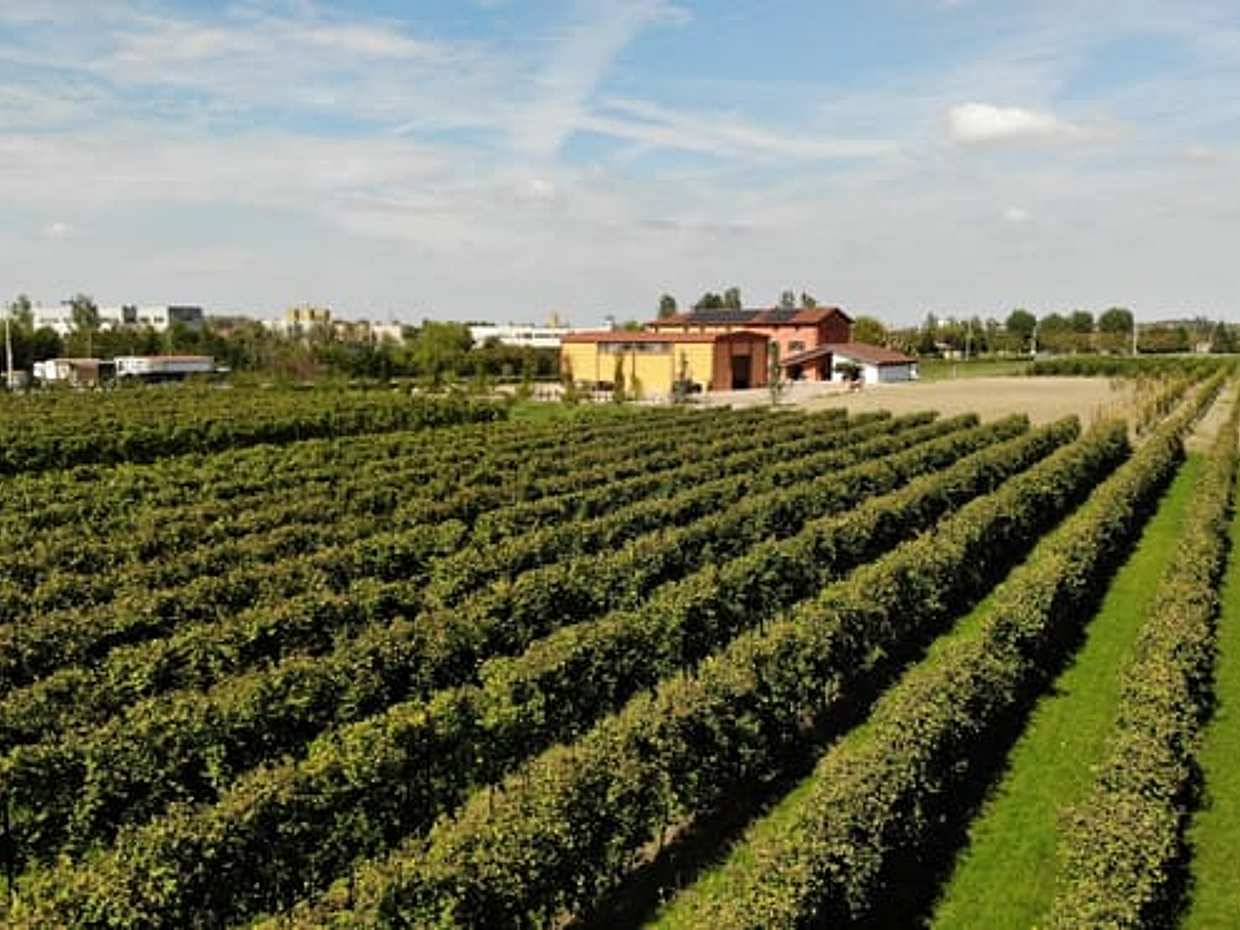 Modena: Tasting of Balsamic Vinegar and Enzo Ferrari Museum (English), photo 4