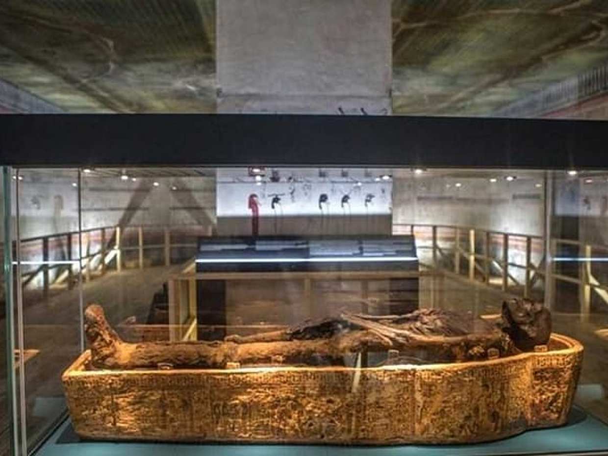 Tour Privado al Gran Museo Egipcio y al Museo Nacional de la Civilización, El Cairo, photo 5