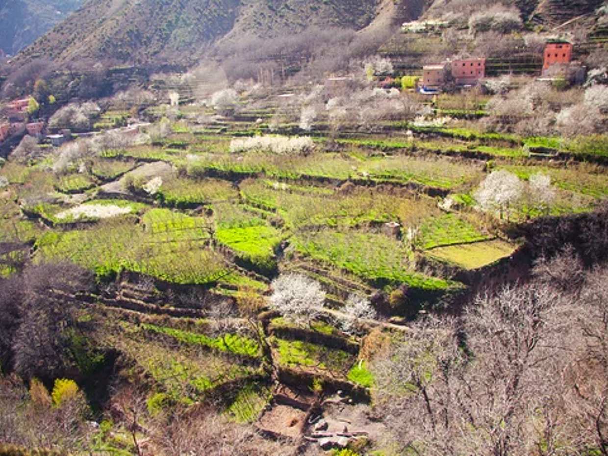Half-day in the Atlas Mountains in Morocco, photo 3