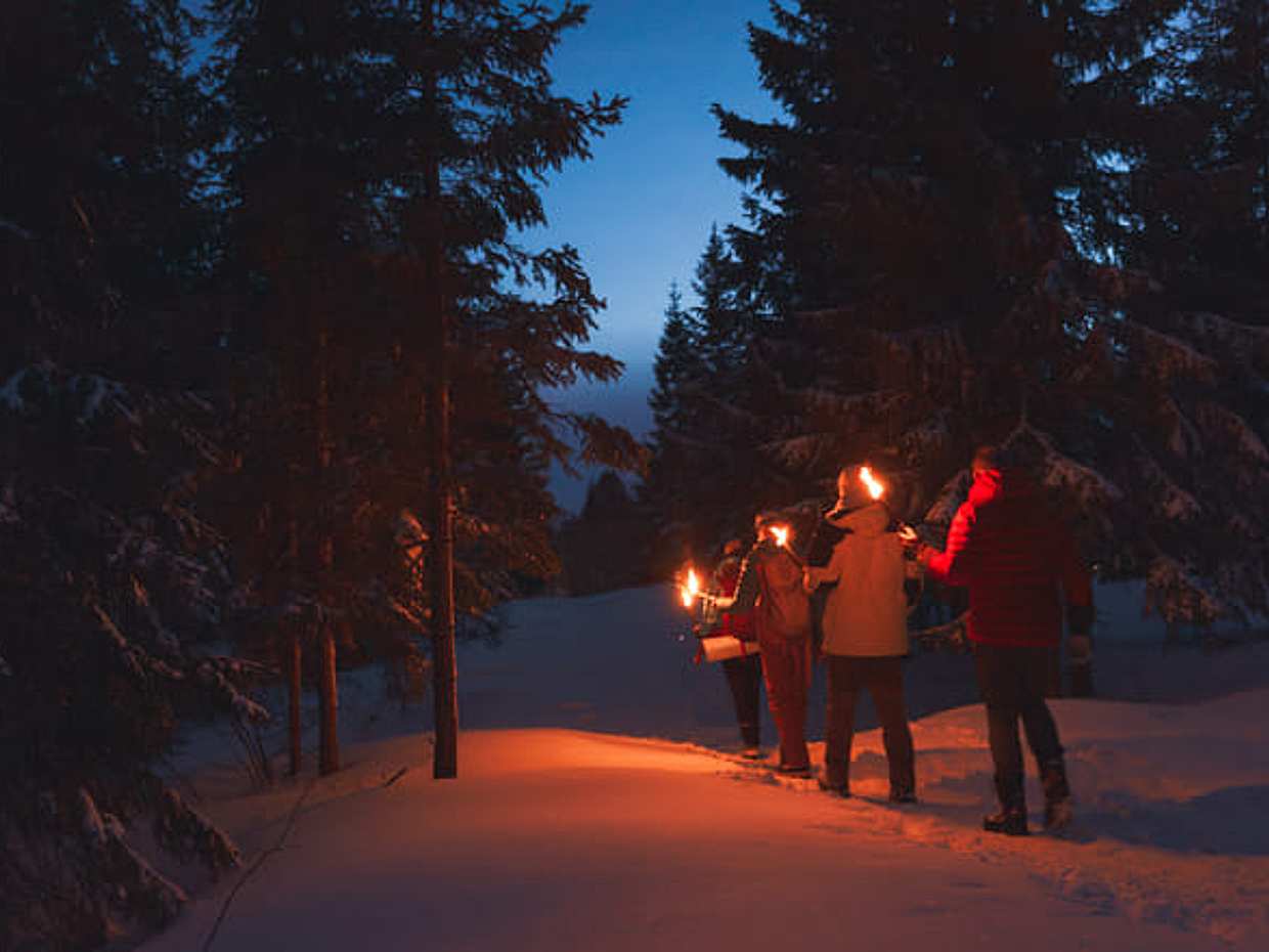 Private Winter Forest Walk & Campfire by Torchlight in Norway, Oslo, photo 2